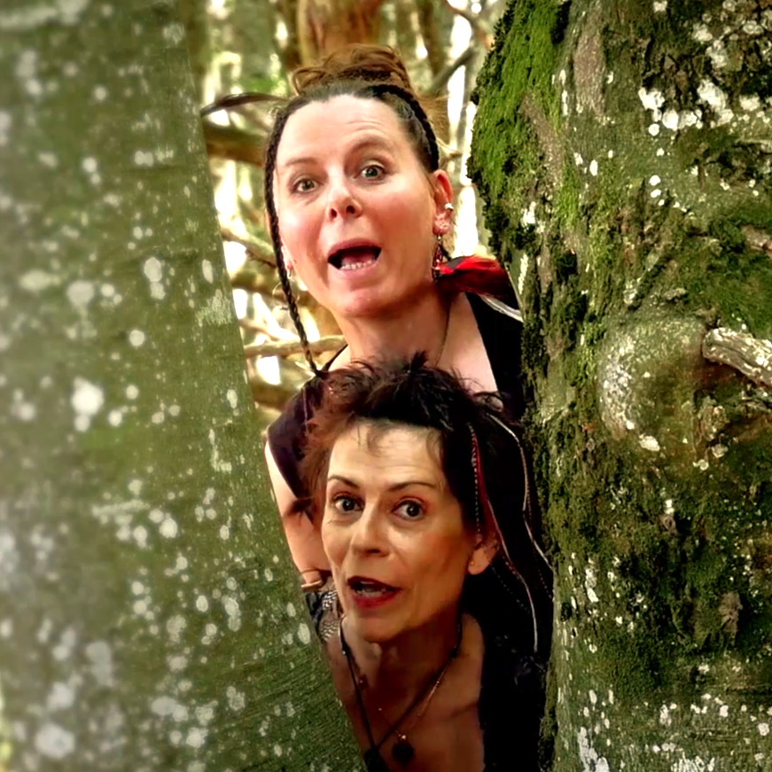 Cie les Virevoltantes